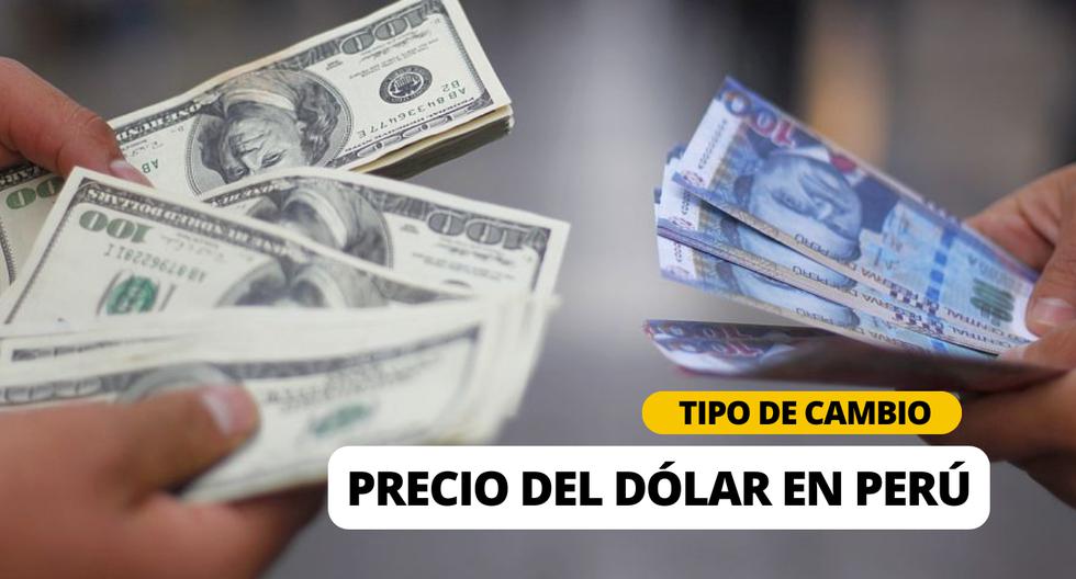 Precio del dólar HOY en Perú: ¿A cuánto está el tipo de cambio en compra y venta hoy, 14 de noviembre? | Foto: Diseño EC