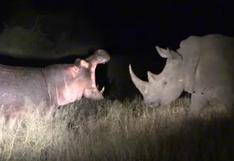 Un hipopótamo y un rinoceronte protagonizan una pelea que ha dejado boquiabiertos a miles de personas en el mundo
