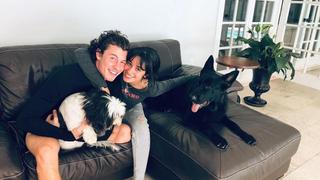 Shawn Mendes reconoce que sus canciones de amor estuvieron inspiradas en Camila Cabello 