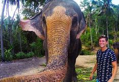 Instagram: Elefante se roba una cámara, se toma selfie y es viral
