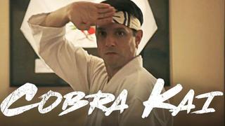Cobra Kai: ¿Qué sucedió con Daniel LaRusso después de la trilogía de Karate Kid? 