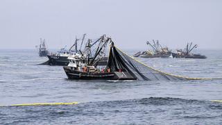 Produce: Se capturó 78,18% de la cuota de pesca de anchoveta para zona norte-centro del litoral