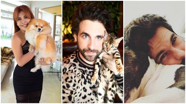 Amor por los animales: conoce a las mascotas de los famosos peruanos. (Fotos: Instagram)