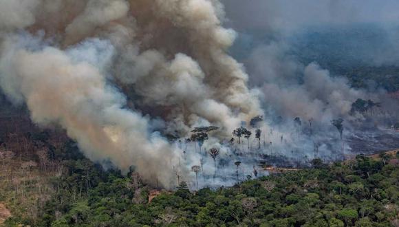 Donald Trump aplaudió la gestión del presidente Bolsonaro en la crisis de los incendios. En la foto, imagen aérea de Greenpeace que muestra uno de los focos de incendio en Rondonia. (Foto: AFP)