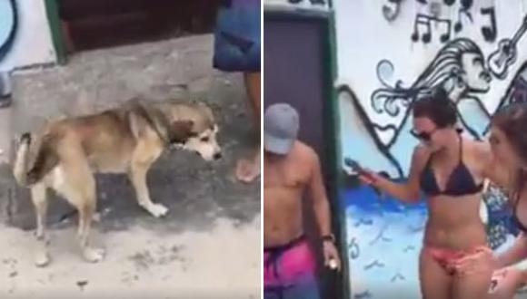 Indignación por broma de un perro enfermo con Bob Marley