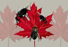 La política canadiense no es linda, es corrupta, por Jen Gerson