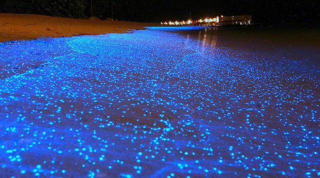 Mira este mar resplandeciente, un hermoso fenómeno en Maldivas - 1