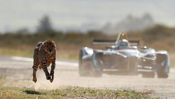 El piloto encargado de sacar cara por los bólidos eléctricos fue el joven francés Jean-Eric Vergne, ex piloto de la Fórmula 1 y actual miembro del equipo Techeetah. (Foto: Difusión)