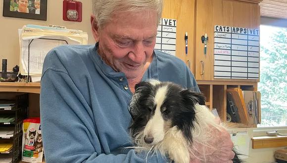 Riley, un Sheltie de 9 años, se reunió con su dueño después de pasar 5 semanas perdido en una montaña de Colorado. (Foto: Summit County Animal Control & Shelter)