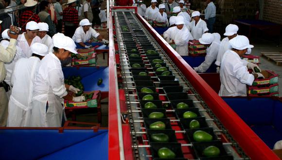 Las exportaciones de frutas en los primeros 8 meses del año superaron los US$ 2,200 millones. (Foto: Andina)