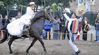 Surco tendrá un parque temático sobre el caballo de paso peruano