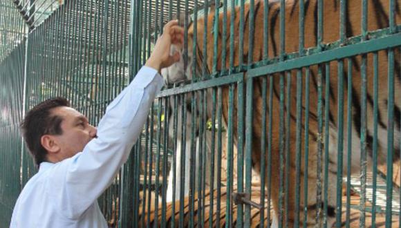 México: rescatan más de 100 animales de zoológico de diputado