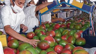Exportaciones de frutas y cereales sumaron US$ 1.710 millones en primer semestre