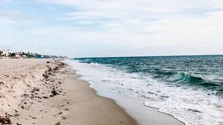 ¿Qué artefacto de la Segunda Guerra Mundial fue encontrado en una playa de Florida?