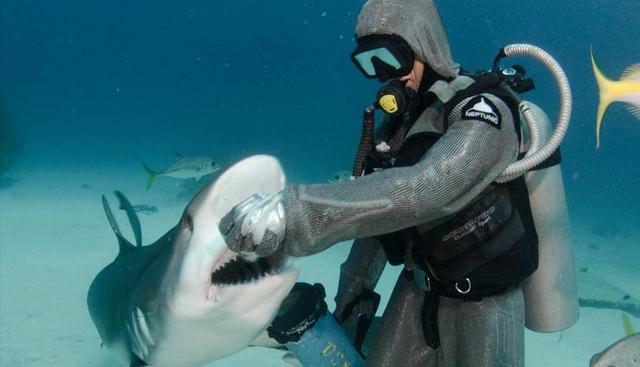 Cristina Zenato mete la mano en la boca de los tiburones para ser su "dentista". (Instagram |&nbsp;cristinazenato)<br>