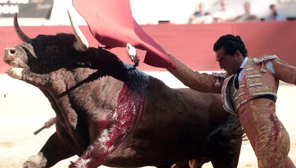 Iván Fandiño Barros, el último torero vasco, de raíces gallegas y catapultado en Madrid. (Foto: AFP)