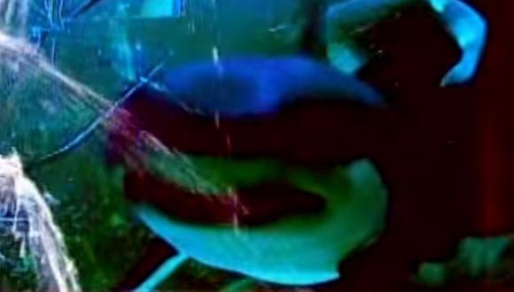 YouTube: tiburón virtual aterró a turistas en acuario (Video)