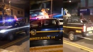 Perro “resguarda” las calles sobre patrulla policial en Guatemala