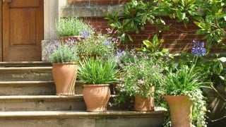 Cómo hacer un sistema autorriego para tus plantas con botellas de plástico