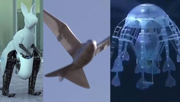 VIDEO: Cinco animales robóticos con movimientos impresionantes