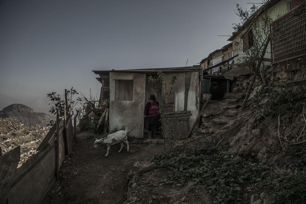 El 15% de los adultos mayores en el Perú no sabe leer ni escribir. El 27,2% de ellos tiene al quechua, aimara u otra lengua nativa, como lengua materna. El 11,8% no ha ido a la escuela o solo alcanzó el nivel inicial; mientras el 36,3% alcanzó a estudiar la primaria y el el 28,2% la secundaria. (Foto: Marco Garro)