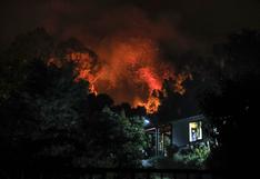 Incendios forestales en Chile no ceden y ya dejan 23 muertos