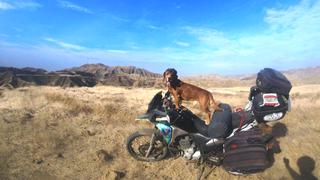 Terix, el perro que recorre el mundo en moto