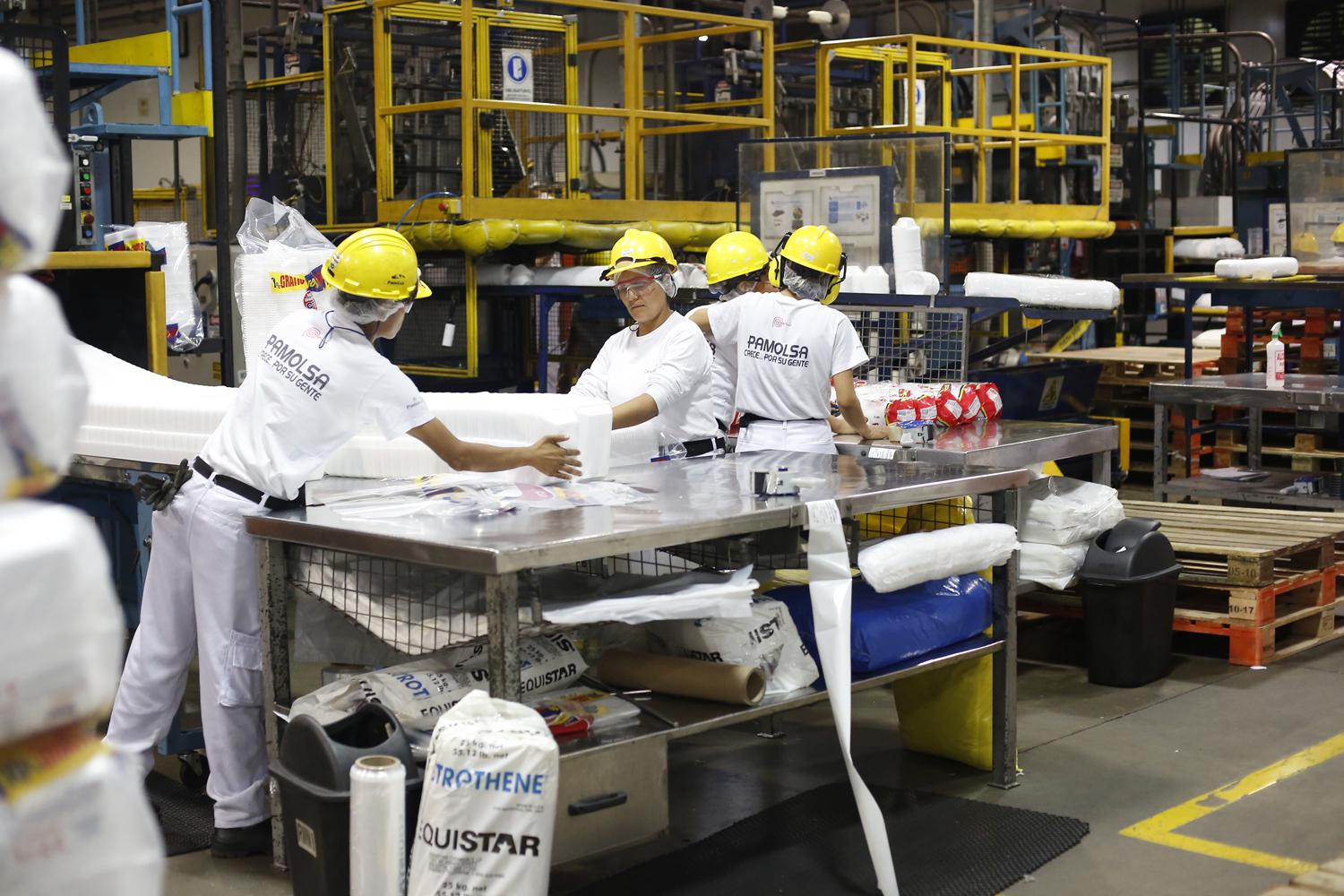 Pamolsa proyecta que sus ventas crezcan 10% este año.