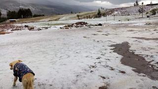 Áncash: veinte hectáreas de cultivos en Catac afectadas por fuerte lluvia con granizo