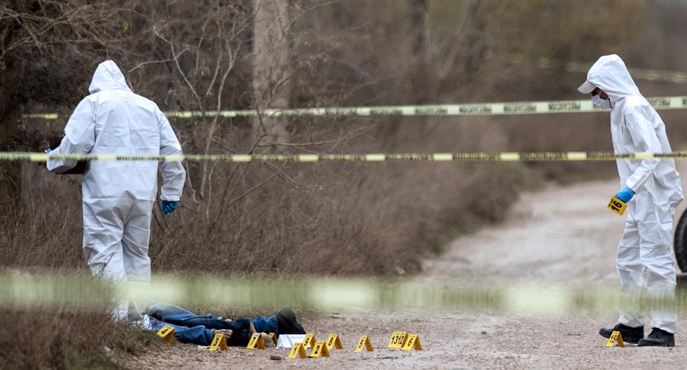Personal forense trabaja en el sitio donde asesinaron a cuatro hombres en una carretera de Pesquería, Nuevo León, México, el 19 de febrero de 2019. (Foto referencial, Julio Cesar AGUILAR / AFP).