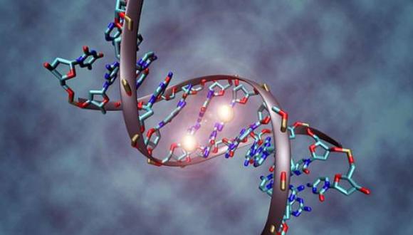 Modifican por primera vez el genoma de embriones humanos