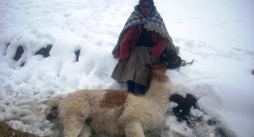 Ola de frío dejó más de 25 mil animales muertes en la sierra sur del país. (Foto: Andina)