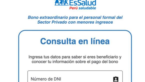 Cómo saber si soy beneficiario del Bono 210 soles: consulta el link de EsSalud. FOTO: Andina