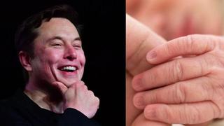 Elon Musk hace apocalíptica predicción si las personas no tienen más hijos