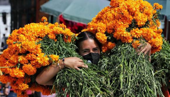 Día de Muertos en México: ¿qué es la flor de cempasúchil y dónde puedes  conseguirla en CDMX? | Tdex Revtli | RESPUESTAS | EL COMERCIO PERÚ