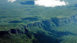 Desorden territorial y expansión agrícola amenazan bosques de Latinoamérica