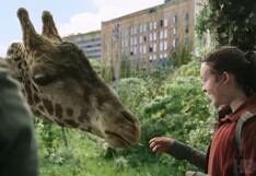 Nabo, la jirafa real que usó The Last of Us para recrear icónica escena