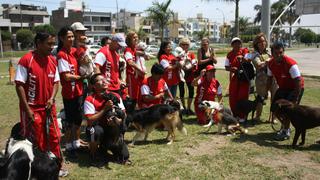 Conoce a la selección canina que representará al Perú