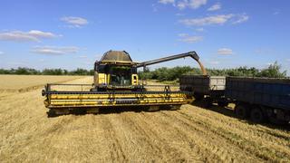Unión Europea señala que es una “cuestión de vida o muerte” la reanudación de la exportación de granos de Ucrania