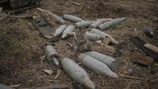 Guerra Rusia - Ucrania: alcalde de Mariúpol calcula que 5.000 civiles han muerto en la ciudad