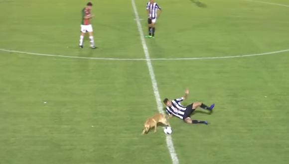 En el duelo entre Central Córdova y Deportivo La Pareja de la tercera división argentina, un can decidió ser parte del juego. (Foto: captura)