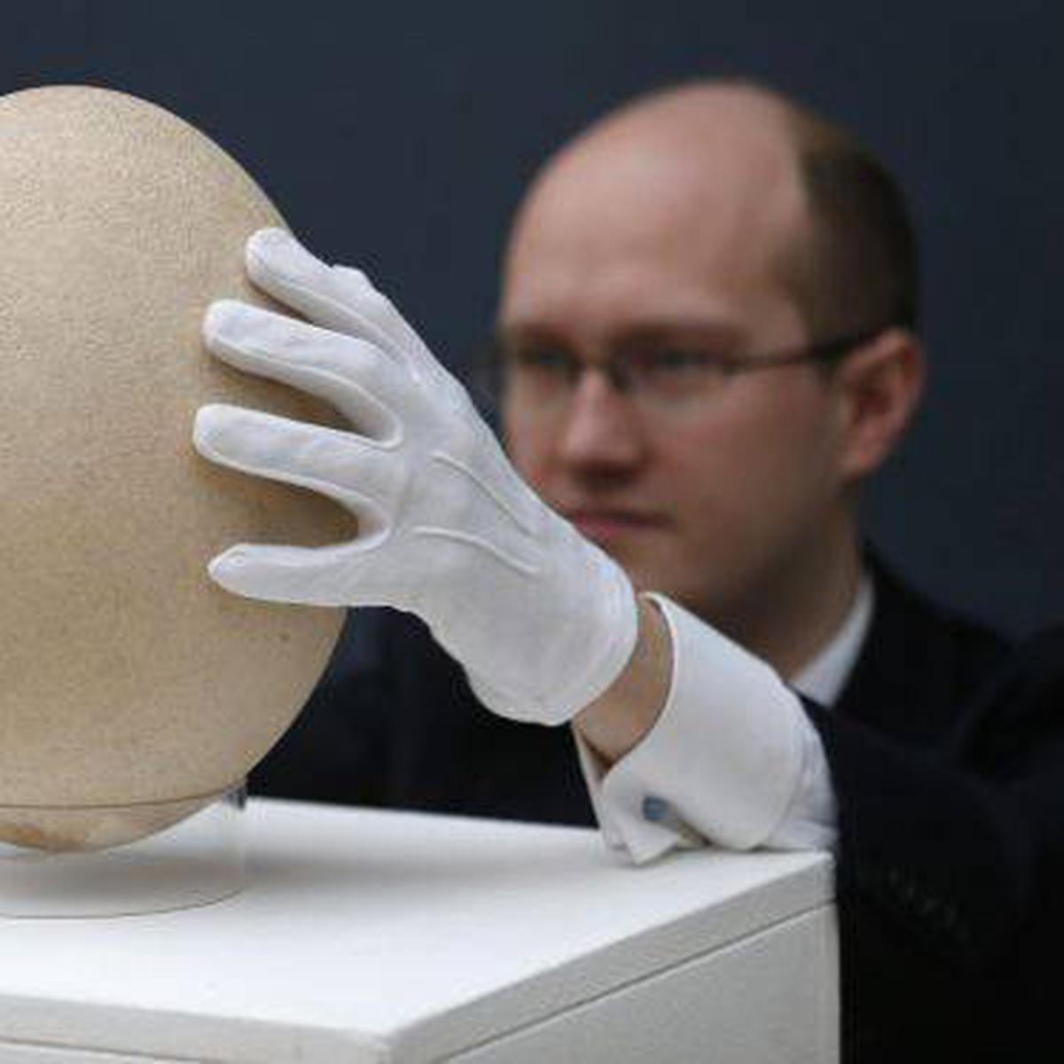 Señal Mono Movimiento VIDEO: el huevo más grande del mundo será subastado | MUNDO | EL COMERCIO  PERÚ