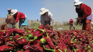 La encrucijada de la agroexportación 