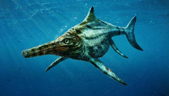 Escocia tiene un nuevo reptil marino prehistórico