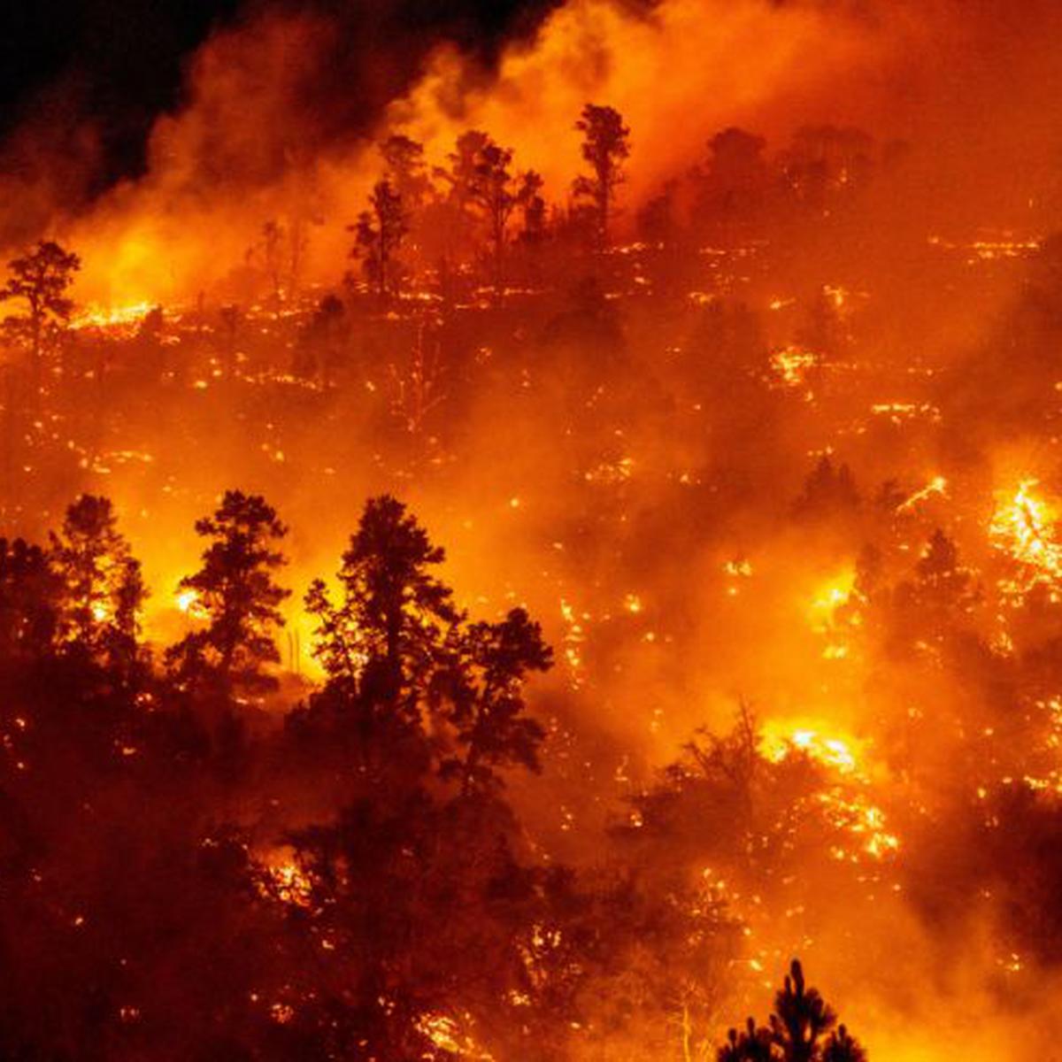 Estados Unidos | Crece un incendio forestal en California en medio de  temperaturas extremas | Los Ángeles | Wrightwood | MUNDO | EL COMERCIO PERÚ