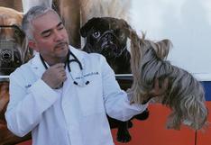 César Millán, el 'encantador de perros', no afrontará cargos de crueldad animal