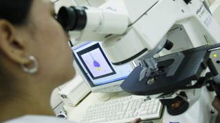 Un software detecta con precisión la infertilidad masculina