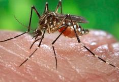 Lima Metropolitana supera a 21 regiones en casos de dengue: ¿cómo controlar el zancudo semanalmente en solo 10 minutos?