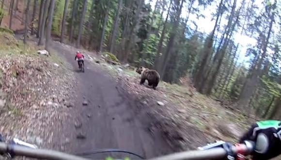 Ciclista pasa momentos de terror al cruzarse con un oso [VIDEO]