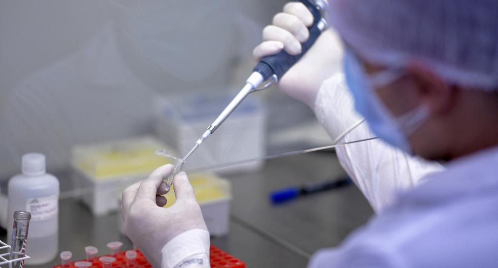 Brazilian scientists warn of mutations in new variants of coronavirus
